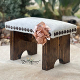 Buffalo Gal Step Stool