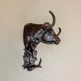 Longhorn Wall Hangers
