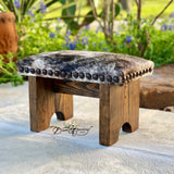 Dusty Desert Step Stool
