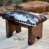 Texas Longhorn  Step Stool