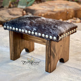 Texas Longhorn Step Stool