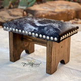 Texas Longhorn Step Stool
