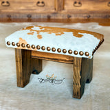 Texas Longhorn  Step Stool