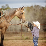 Custom Cow Pony + Made to Order