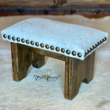 Branded Cowhide Step Stool