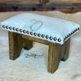 Branded Cowhide Step Stool