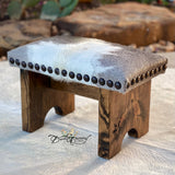 Grey & White Cowhide Step Stool