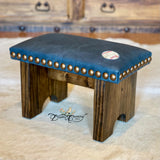 Baseball Step Stool